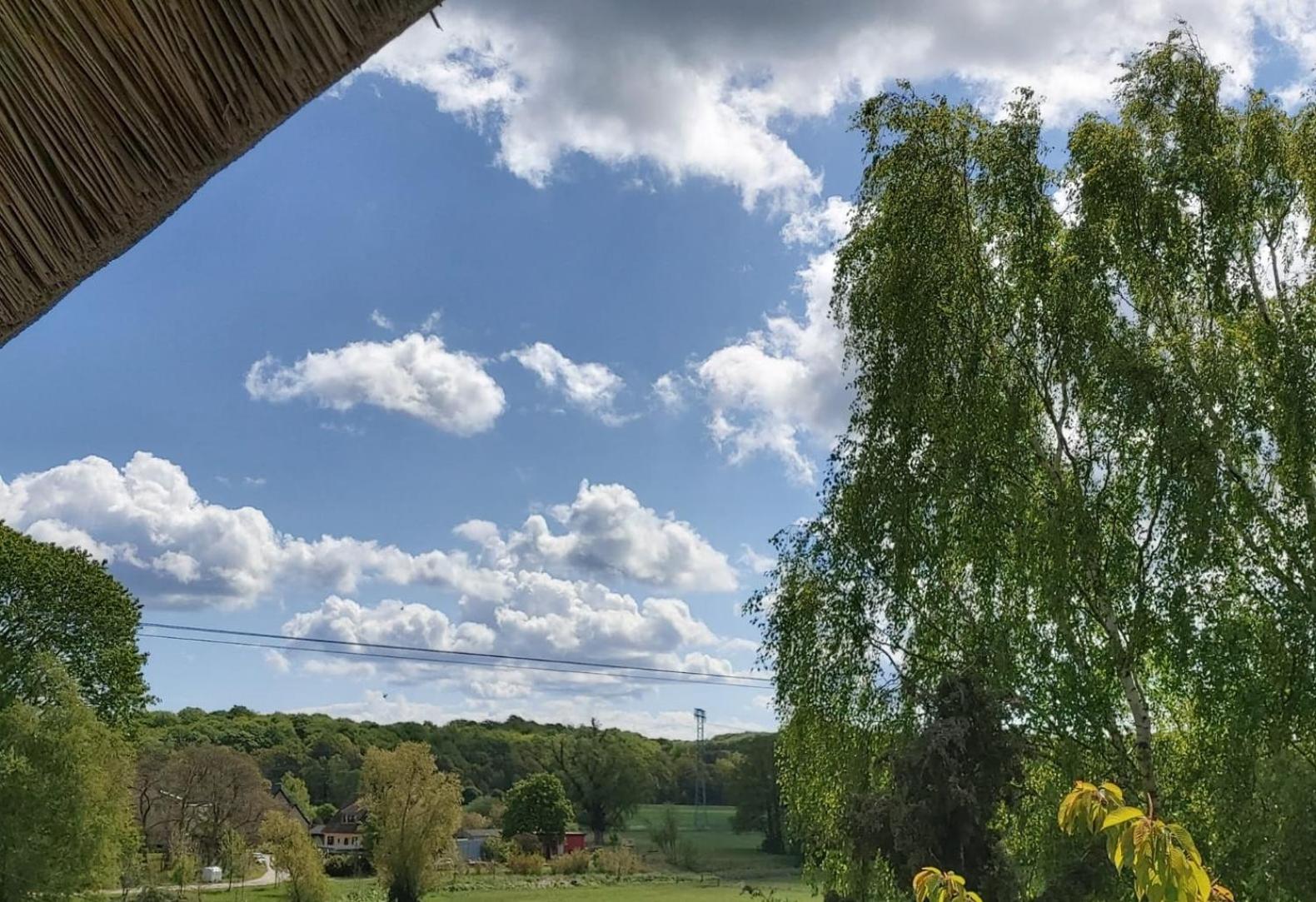 Pension Petersen Bergen Auf Rugen Habitación foto